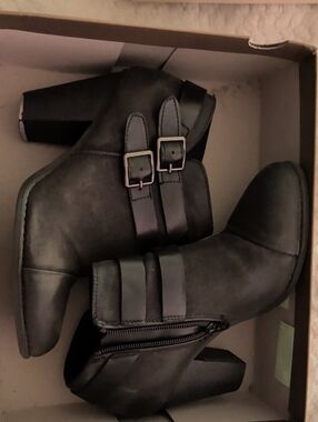 LC Lauren Conrad Black Double-Buckle Ankle Booties